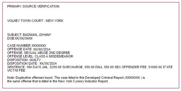 Developed Criminal Record Results