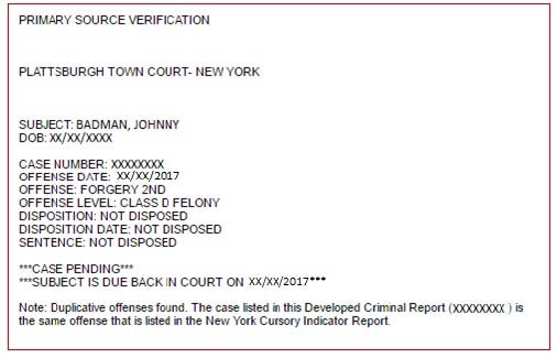 Developed Criminal Record Results